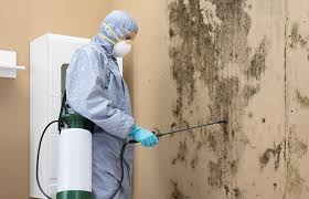 Why You Should Choose Our Mold Remediation Services in Riverside, PA